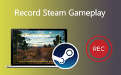 Record Steam Gameplay