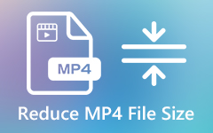 Reduce MP4 file size