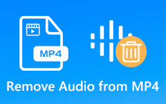 Remove audio from MP4
