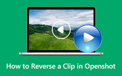 Reverse Clip in Openshot