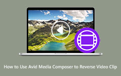 Reverse Video Clip in Avid Media Composer