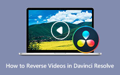 Reverse Videos in Davinci Resolve