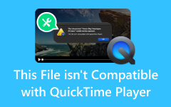 This File is Not Compatible with QuickTime Player