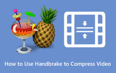 Use Handbrake Compress