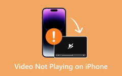 Video Not Playing on iPhone