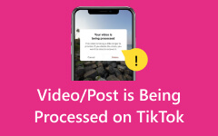 Video Post is Being Processed on TikTok