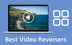 Video Reversers