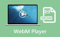 Webm Player