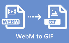 WebM to GIF