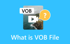 What is VOB File
