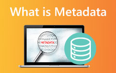 What Metadata is