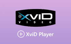 XviD player